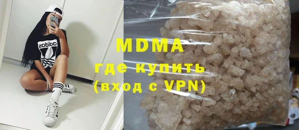 индика Алексин