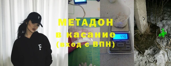 индика Алексин