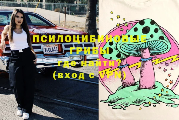 индика Алексин