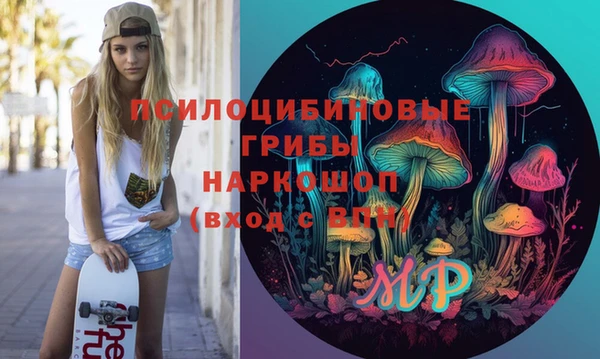 мдпв Алзамай