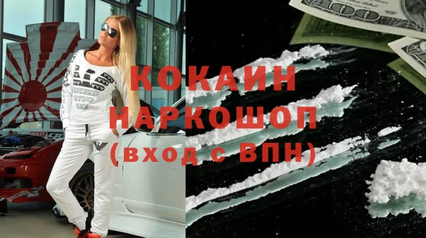 индика Алексин