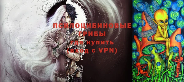 индика Алексин